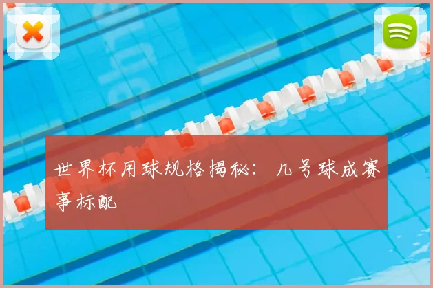 世界杯用球规格揭秘:几号球成赛事标配