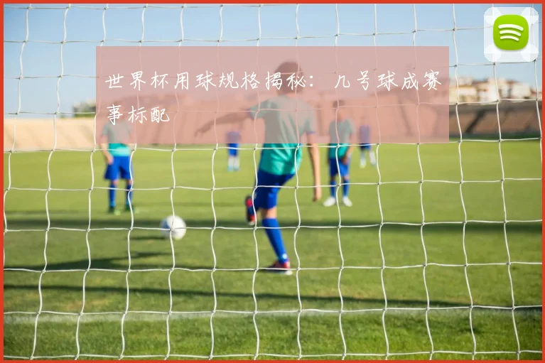 世界杯用球规格揭秘:几号球成赛事标配