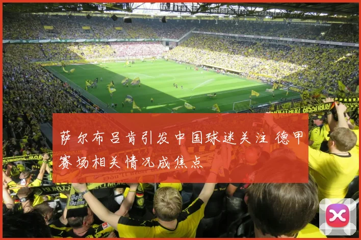 萨尔布吕肯引发中国球迷关注 德甲赛场相关情况成焦点