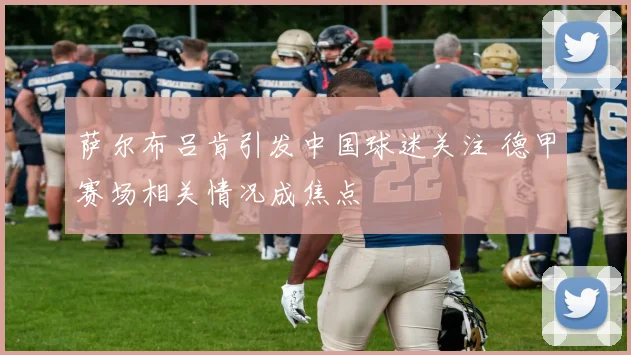 萨尔布吕肯引发中国球迷关注 德甲赛场相关情况成焦点