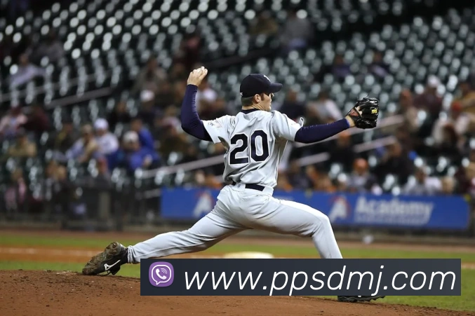 世界杯官网线上平台服务体系